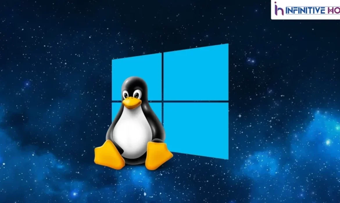 Which Hosting You Pick For Your Business : Windows Or Linux
