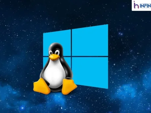 Which Hosting You Pick For Your Business : Windows Or Linux
