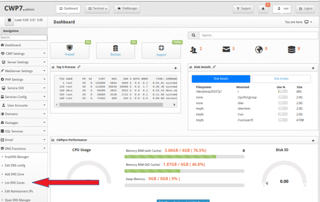 How To Delete A DNS Zones Via CWP Panel?