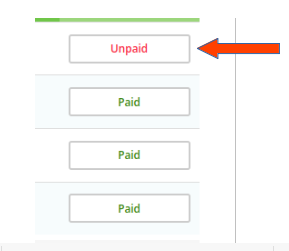 How to Pay an Invoice from Infinitive Host Client Area?