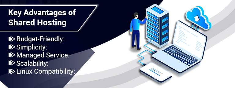 Shared Hosting